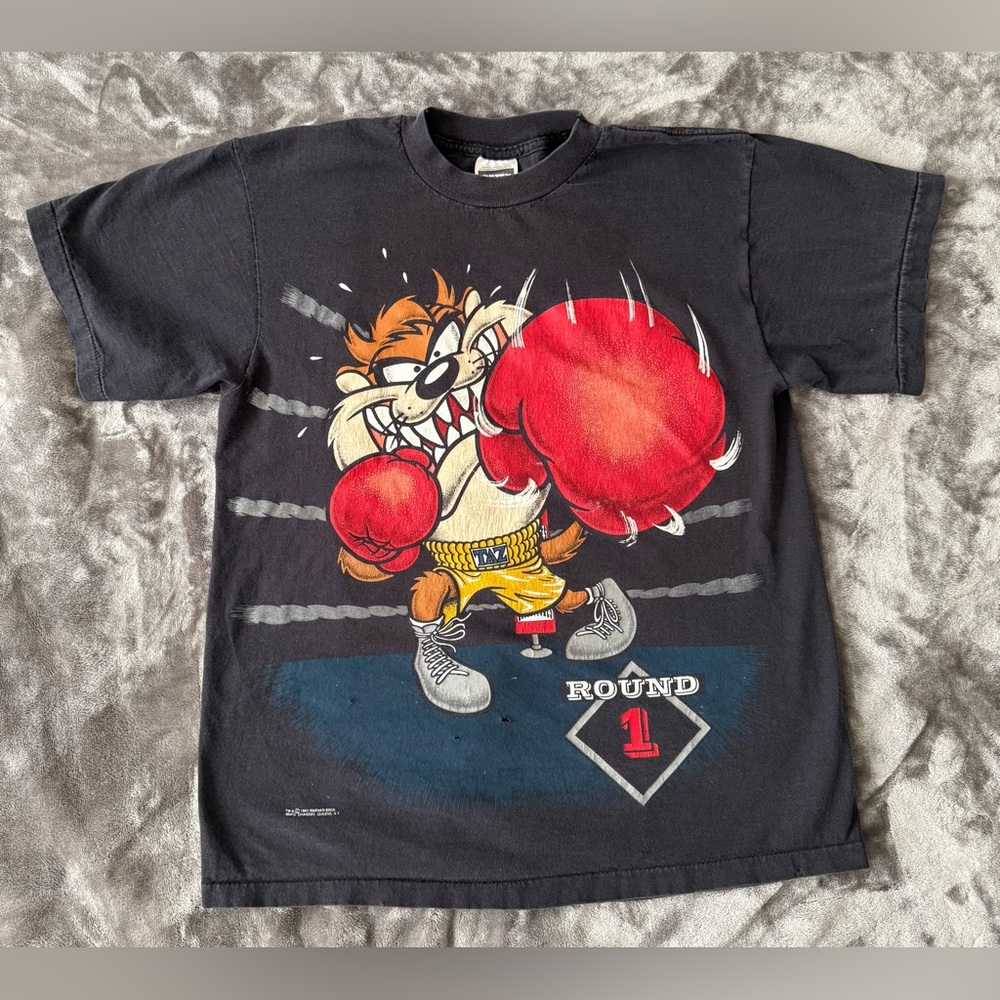 Vintage 1993 Taz Boxer Graphic Tee, Round 1 —> Round 12